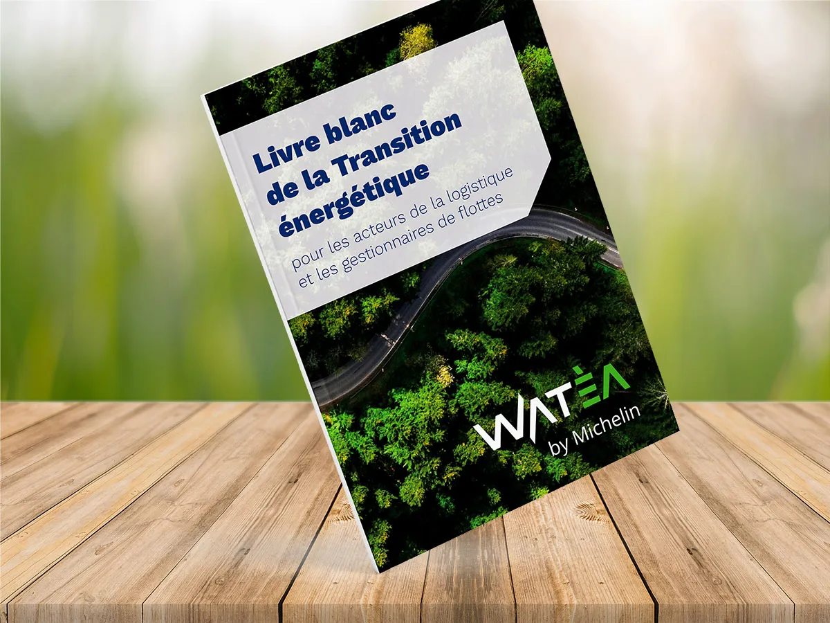 Image for Transition vers des utilitaires électriques : téléchargez le Livre Blanc